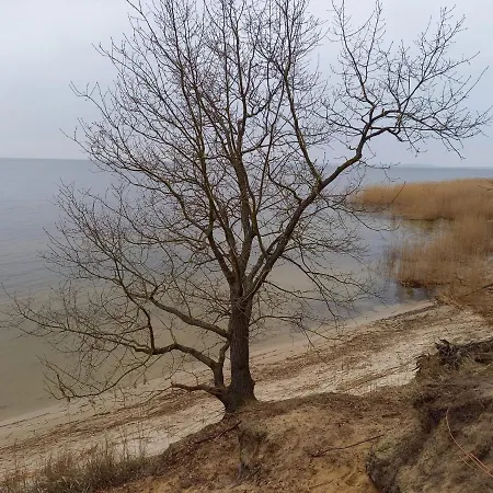 Unter Den Eichen Am Stettiner Haff