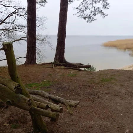 Unter Den Eichen Am Stettiner Haff *