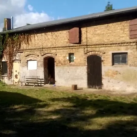 Unter Den Eichen Am Stettiner Haff