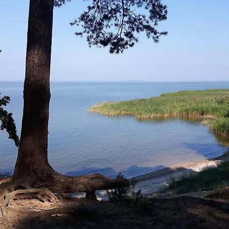 Unter Den Eichen Am Stettiner Haff *